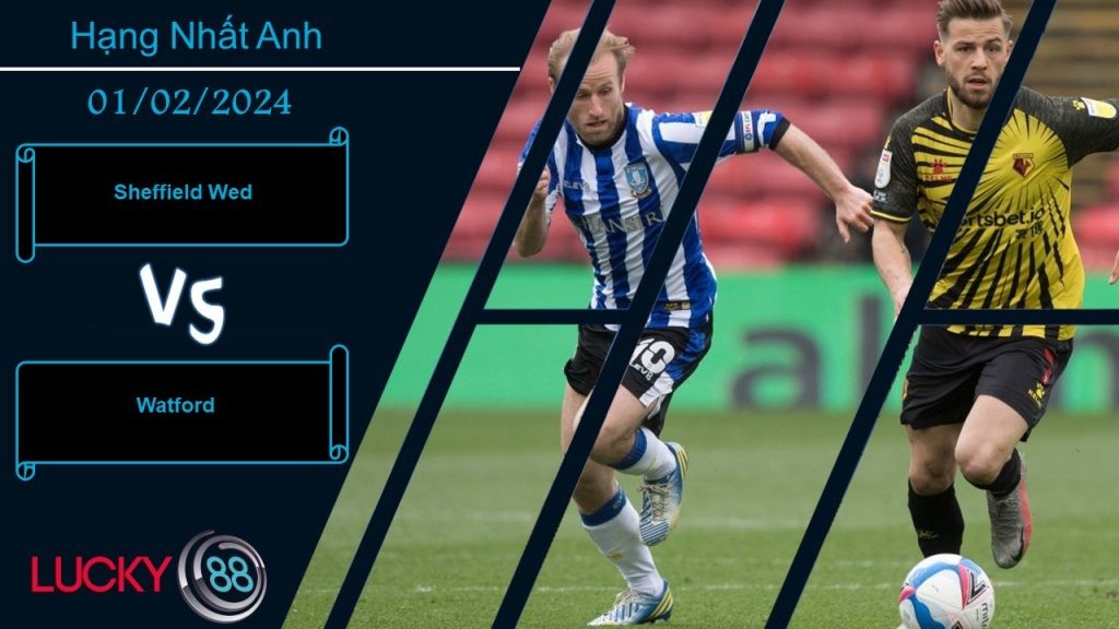 LUCKY88 Sheffield Wed vs Watford,  Nhận định bóng đá 01/02/2024, Thử thách đúng nghĩa